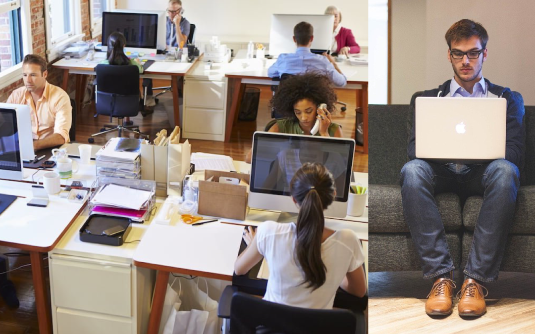 Should You Hire A Freelancer Or A Software Development Company?